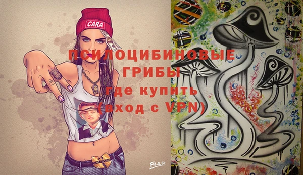 прущие грибы Алзамай
