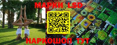 ALPHA PVP Аргун